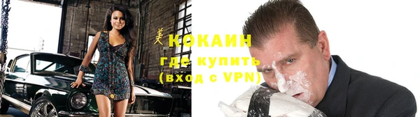 мдпв Новозыбков