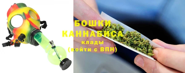 сатива Вяземский