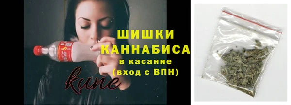 мдпв Новозыбков