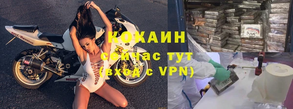 мдпв Новозыбков