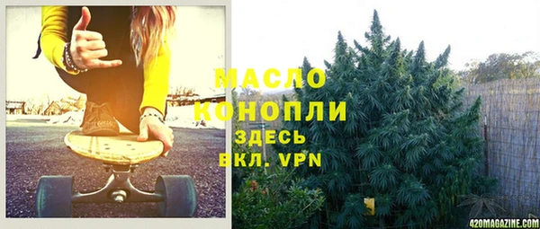 мдпв Новозыбков