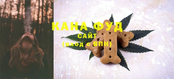 мдпв Новозыбков