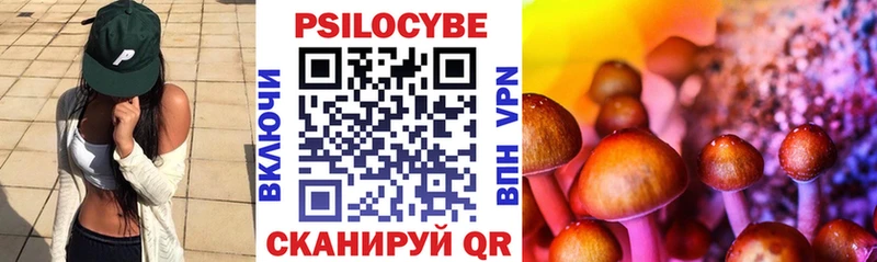 цены наркотик  Западная Двина  Псилоцибиновые грибы Magic Shrooms 