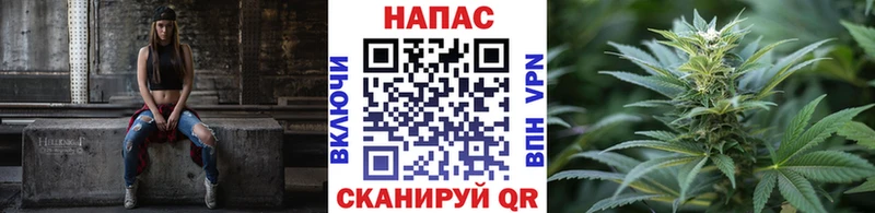 как найти закладки  Западная Двина  Бошки марихуана тримм 